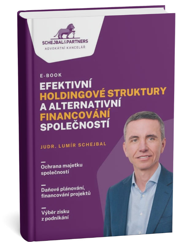 E-book Efektivní firemní struktury