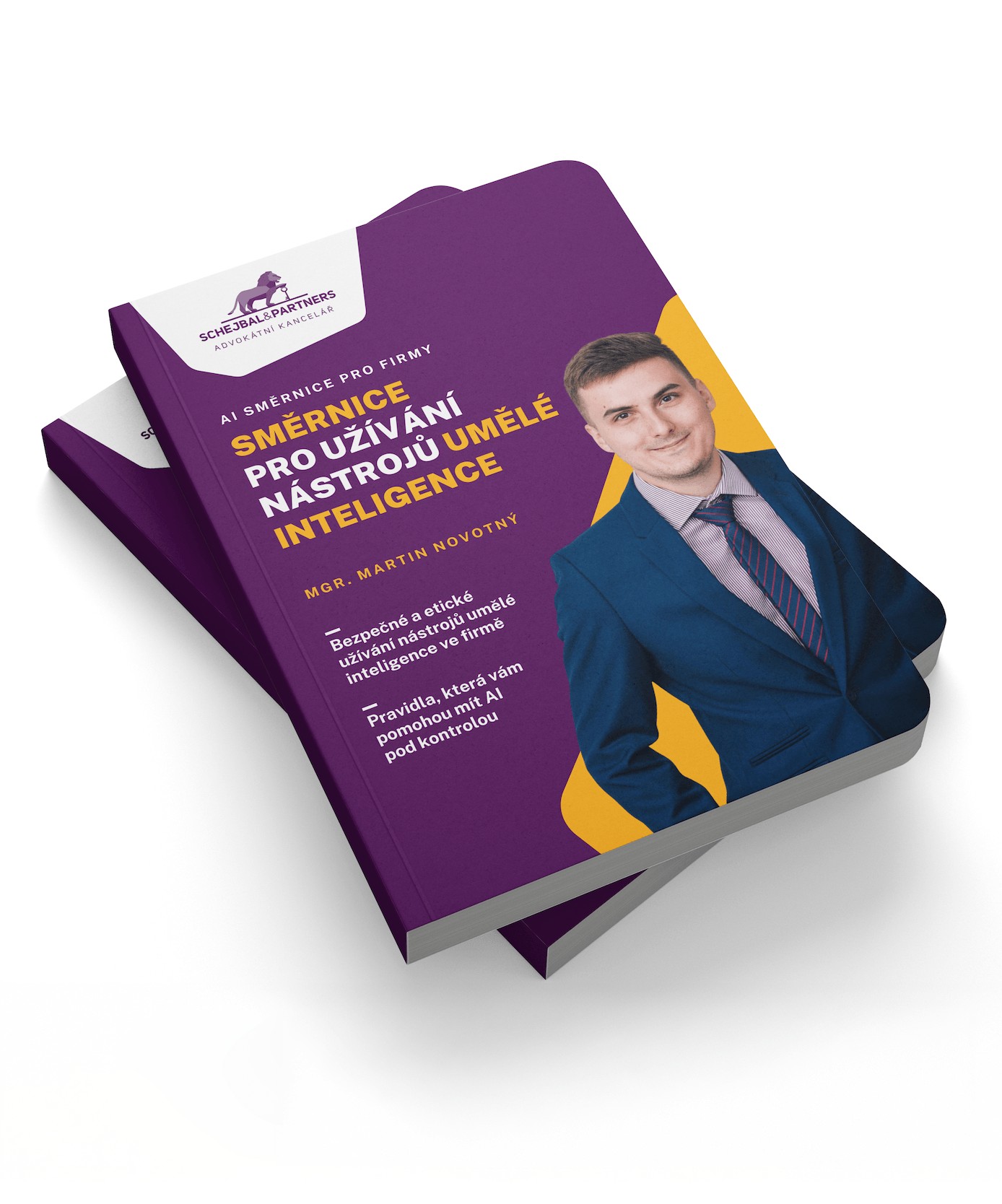 AI směrnice pro firmy